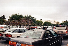 1995 - USA 143 (Palo Alto - Stanford)